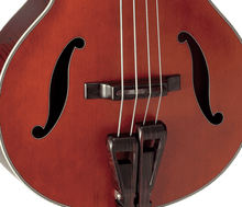 Charger l'image dans la galerie, TAKAMINE - DB10 Hole Bass, cutaway électro-acoustique, Fretless, Red Stain