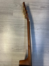 Charger l'image dans la galerie, Dowina - Master Série - Cocobolo III GACE - Dolomite Spruce Top