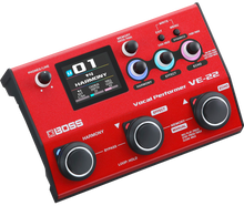 Charger l'image dans la galerie, Boss VE22 VOCAL PERFORMER