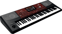 Charger l'image dans la galerie, KORG PA700 61 notes amplifié clavier arrangeur