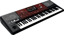 Charger l'image dans la galerie, KORG PA700 OR 61 notes amplifié clavier arrangeur Oriental