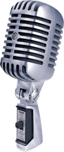 Charger l'image dans la galerie, SHURE SSE 55SHT2 Micro Voix - Tête de mort dynamique cardioïde