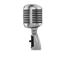 Charger l'image dans la galerie, SHURE SSE 55SHT2 Micro Voix - Tête de mort dynamique cardioïde