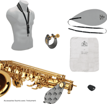 Charger l'image dans la galerie, SML PARIS Saxophone Alto Mib A620-II Laiton verni