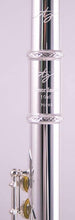 Charger l'image dans la galerie, TREVOR JAMES 10X FLUTE 3041RSLRW