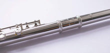 Charger l'image dans la galerie, TREVOR JAMES 10X FLUTE 3041RSLRW