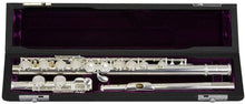 Charger l'image dans la galerie, TREVOR JAMES FLUTE 10X 3041RS LRW Plaque et Noyau Argent