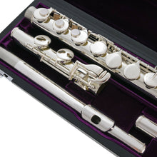 Charger l'image dans la galerie, TREVOR JAMES FLUTE ALTO 33223CD Tête droite & courbe