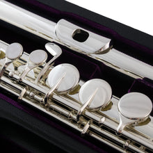 Charger l'image dans la galerie, TREVOR JAMES FLUTE ALTO TETE ARGENT 33225