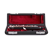 Charger l'image dans la galerie, TREVOR JAMES FLUTE PICCOLO 5X 3TP5