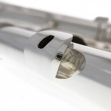 Charger l'image dans la galerie, TREVOR JAMES FLUTE BASSE 33253