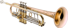 Charger l'image dans la galerie, XO VXO XO1602RLS3 1602 Trompette Pavillon.cuivre rose