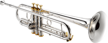 Charger l'image dans la galerie, XO VXO XO1602RSR4 1602 Trompette Pavillon cuivre rose, branche d'embouchure. inversée.