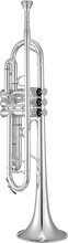 Charger l'image dans la galerie, XO VXO XO1602SSS4 1602 Trompette Branche embouchure standard