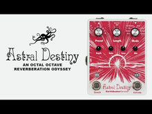 Charger et lire la vidéo dans la visionneuse de la Galerie, EarthQuaker Devices Astral Destiny Reverb Octave Pitch