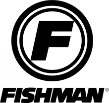 Charger l'image dans la galerie, FISHMAN PRO-LBT-500 Combo ampli acoustique 60 W Loudbox Mini BLUETOOTH