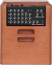 Charger l'image dans la galerie, ACUS One ForStrings 10Ferdi Woodn Ampli Guitare Acoustique AC 120
