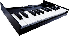 Charger l'image dans la galerie, Roland K-25M Boutique
