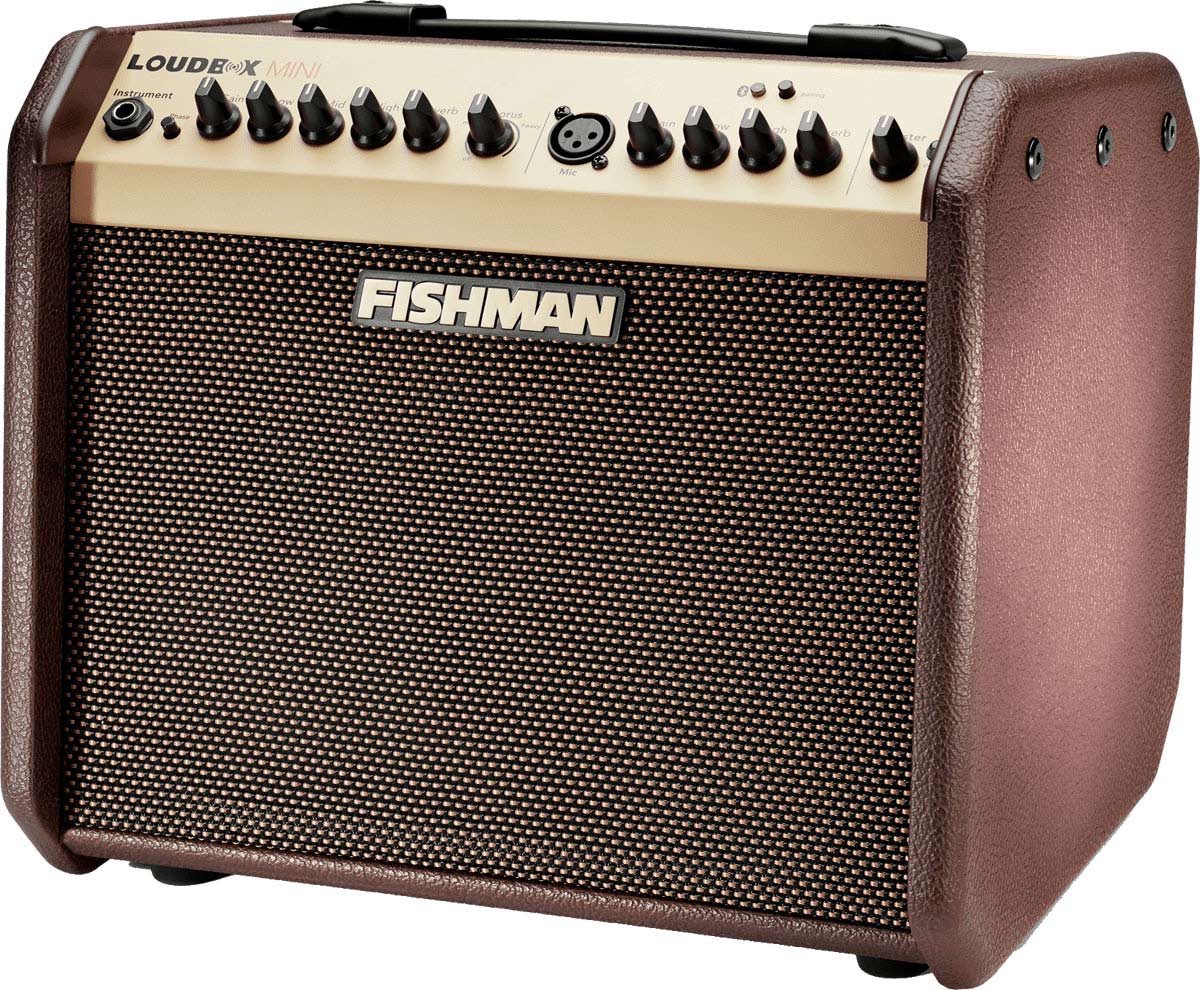 FISHMAN PRO-LBT-500  Combo ampli acoustique 60 W Loudbox Mini BLUETOOTH